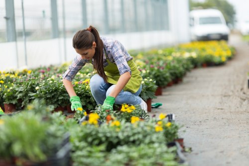 Gardener inspecting a garden near Thamesmead