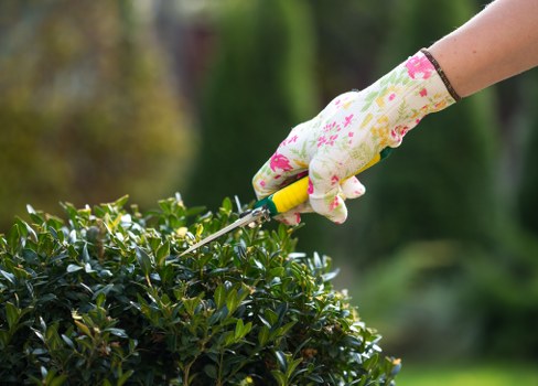 Photo of a community gardener working in a Thamesmead green space