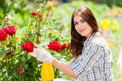 Professional landscape gardening services in Thamesmead