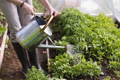 Site restoration and planting in a communal Thamesmead green space